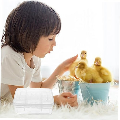 YARNOW Gecko Incubator 2pcs 16 Compartments Eggs Incubation Tray for Reptile Breeding Box