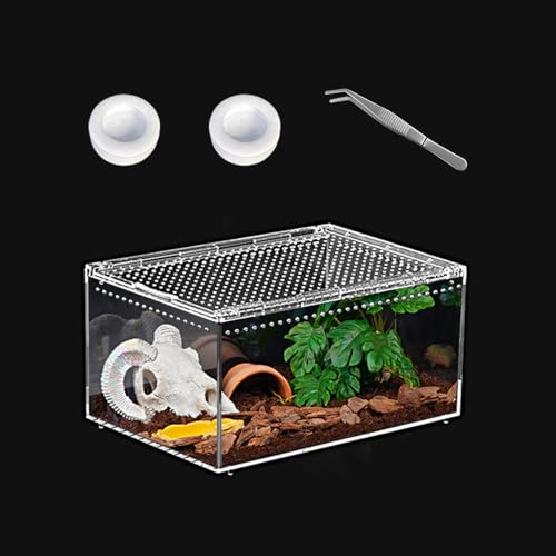 Reptile PC Terrarium 12" x 8" x 6", Tarantula Enclosure,Spider Tank Starter Kit, Hermit Crab Habitat,Lizard Enclosure,Insect Housing,Jumping Spider Cage - size: 12" x 8" x 6