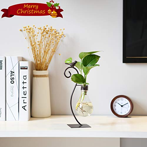 Marbrasse Desktop Glass Planter Hydroponics Vase,Planter Bulb Vase with Holder for Home Decoration,Modern Creative Bird Plant Terrarium Stand, Scindapsus Container (Bulb Vase) - color: Bulb Vase