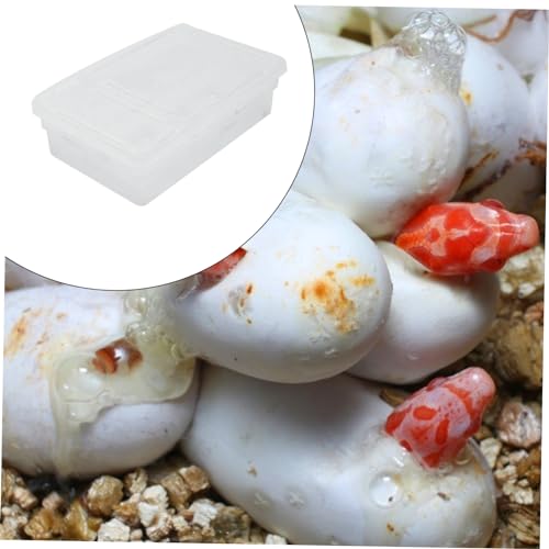 Mikikit Practical Reptile Breeding Box Lightweight Incubator for Snakes Lizards and Crawling Pets Safe Plastic Material for Professional Hatching and Incubation Needs