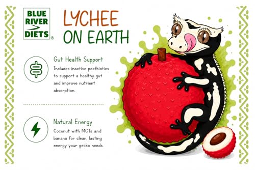 Blue River Diets Complete Crested Gecko Food | All-Natural Gecko Food Made in the UK | 70% Real Fruit | 2.1oz | 60g Lychee on Earth Flavor