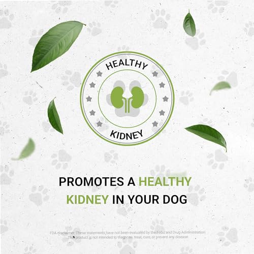 Wolf's Kidney | Natural Herbal Dietary Supplement | Healthy Kidney Function Support in Dogs | Alcohol-Free Extract, Dandelion Root, Calendula, Linden, Chamomile, Fennel 2 oz - style: Kidney