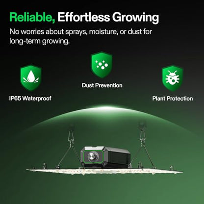 VIVOSUN LumaLight 100W LED Grow Light, Full Spectrum Plant Light, Smart Dimmable & High PPFD for Indoor Plants Seedling Vegetables Bloom, Fits 2×2/2×4 Grow Tents, 2-Pack - size: 4x2