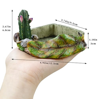 Hermit Crab Accessories, Resin Cactus Dish for Food or Water, Hermit Crab Water Bowl, Habitat Tank Accessories for Gecko, Hermit Crabs, Frog and Other Small Reptile