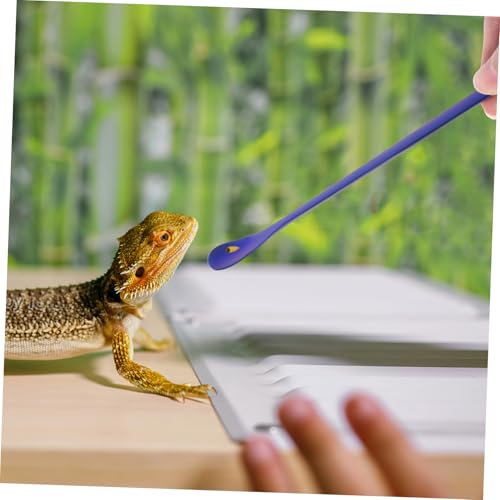 BESPORTBLE 2pcs Stainless Steel Reptile Food Spoon Pet Feeding Tool for Lizards Geckos and Small Animals Design Easy to Use and