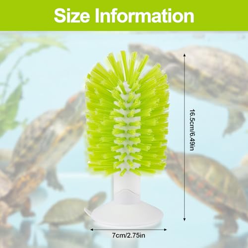shuielai1PCS Turtle Brush with Suction Cup, Tank Scratch Scrub Back Shell Cleaner for Red Eared Slider, Exfoliate Remove Scutes, Green Turtle Aquarium Habitat Accessories