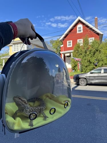 Small Animal Portable Backpack Carrier with Leather Harness and Leash Set,Space Capsule Clear Bubble Window Travel Backpack for Bearded Dragon,Guinea Pig,Rabbit,Airline Approved - color: Blue