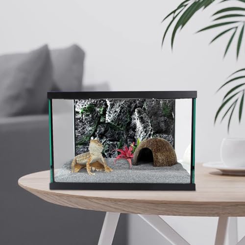 Reptile Glass Terrarium Tank 12 * 12 * 8" Full View with Top Ventilation, Amphibians Habitat Enclosure Cage for Frog,Spiders,Dubia Cockroach,Praying Mantis,Cricket,Tarantula,Hermit Crab - size: 12*12*8inch