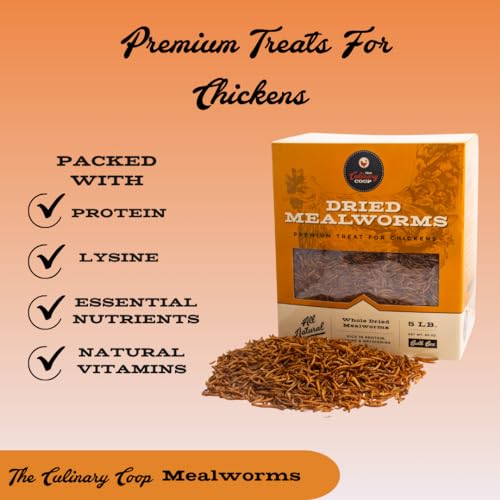 Fluker's Culinary Coop Premium Chicken Treats, High Protein Dried Mealworms, Nutritious Snacks for Chickens, Birds, and Reptiles, 5 lbs Box - size: 1 Count (Pack of 1)