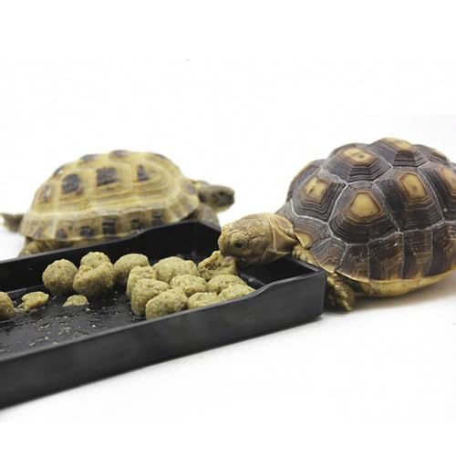 OMEM Reptile Bowl Large Food and Water Dish Enough Space Also Fit for Bath Simulated Wood Grain Surface (S, Black) - color: Black, size: S (Lot de 1)