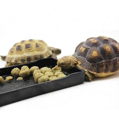 OMEM Reptile Bowl Large Food and Water Dish Enough Space Also Fit for Bath Simulated Wood Grain Surface (L, Black) - color: Black, size: L (Lot de 1)
