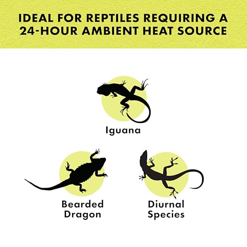 Zilla Incandescent Spot Bulb, for Nocturnal Reptile Species, Night Black - size: Pack of 1, style: Night Black (75W)