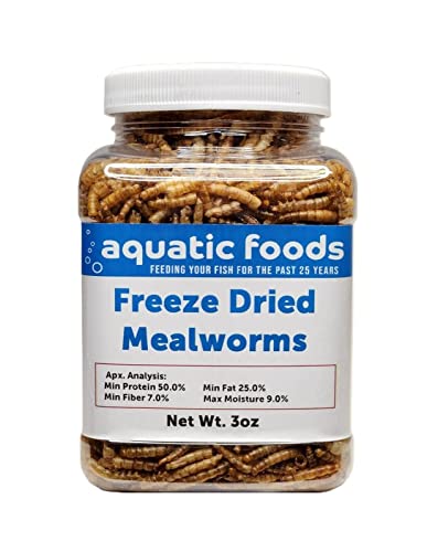 Mealworms- Freeze Dried Mealworms for Tropical Fish, Pond Fish, Reptiles, Turtles, Tortoises, Frogs, Hamsters, Birds, Rodents…3oz Small Jar