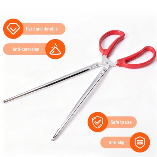 Feeding Tongs, Reptile Feeding Tongs for Snakes, Lizard, 3PCS Stainless Steel Tweezers with Gloves & Black Rubber Tips