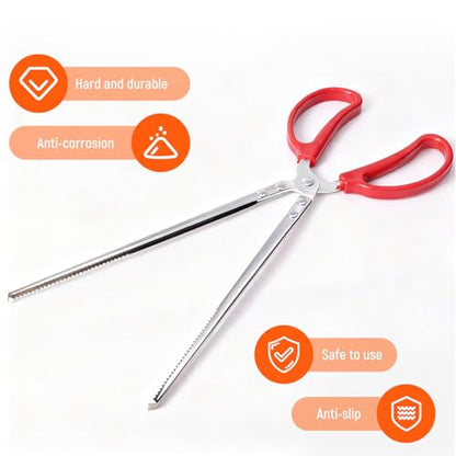 Feeding Tongs, Reptile Feeding Tongs for Snakes, Lizard, 3PCS Stainless Steel Tweezers with Gloves & Black Rubber Tips