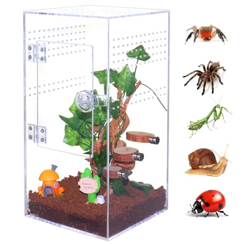 Jumping Spider Enclosure Acrylic Jumping Spider Terrarium with Front Opening Door, Micro Habitat Terrarium for Small Tree Dwelling Reptiles, Arboreal Tarantula Enclosure (6X6X12 Inches)