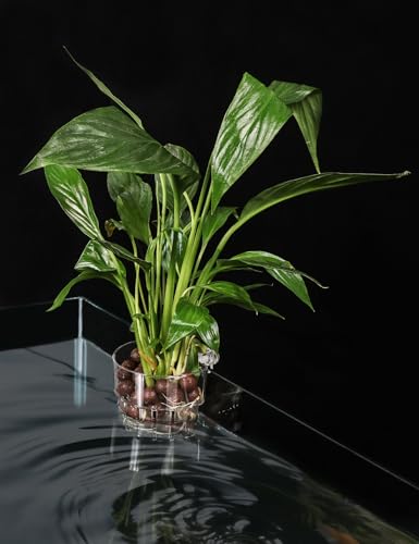 2 Pack Clear Aquarium Plant Holder Top Hanging Fish Tank Plant Holders Fits up to 0.8in Tank Edges, Aquarium Décor - color: Semicircle-White