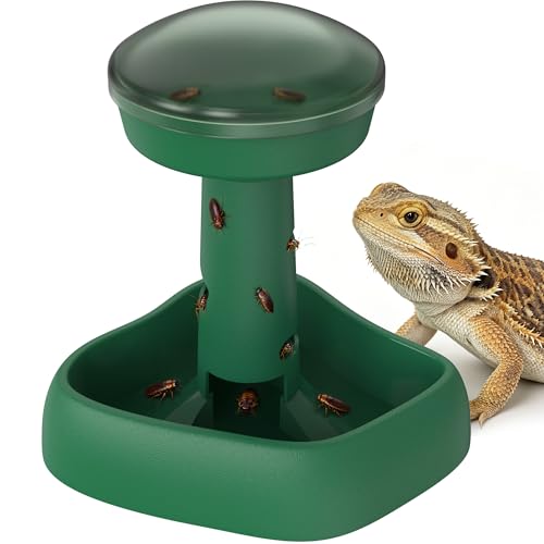 Reptile Feeder for Lizards – Natural Foraging & Slow Feeder Design, Anti-Tip Stable Base for Roaches Insects, Dual-Use as Food or Water Dish, Escape-Proof Training Feeder for Bearded Dragon Gecko (L) - size: L