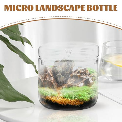 Alasum Micro Landscape Moss Terrarium Glass Container for Office Desktop, 12X12Cm Eco Bottle Planter with Ecosystem for Creative Indoor Plant Decoration