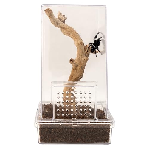 Zoo Med Jumping Spider Kit