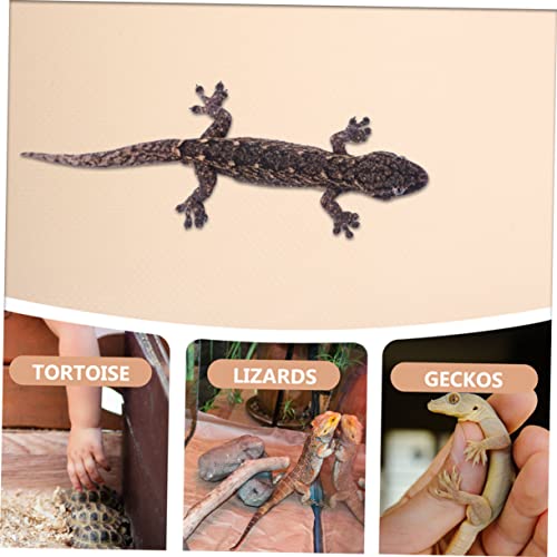 BESPORTBLE Cypress Mulch Reptile Bedding Alternative Comfortable Reptile Climbing Decor Eva Material Substrate