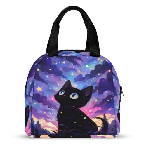 Starry Night Cat Lunch Bag for Women Men | Insulated Lunch Box Leakproof Food Meal Containers Reusable Foldable 6L Capacity Lunch Tote Bags for Work Picnic Travel - color: style-16