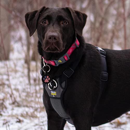 MYLUCKYTAG QR Code Pet ID | Personalized Dog & Cat Collar Tag | Online Profile with Instant Scanned Location Alert Email - style: USA Patriot