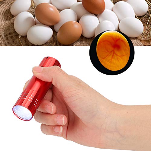 Egg Candler, Cool Light Portable Egg Candling Lamp with High Intensity Light, for Chicken, Goose, Duck, Eggs, Incubation Learning (Red)
