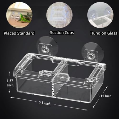 Escape Proof Small Reptile Feeding Dishes with Suction Cup | Mealworms Bug Feeder, Anti-Escape Food Bowl, Transparent Clear Plastic, Leopard Gecko Bearded Dragon Terrarium Accessories