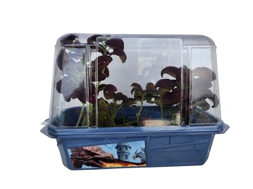 Toys By Nature Miniature Worlds Dragon's Den Flower Windowsill Terrarium Starter Kit, Complete Supplies to Grow Your Own Indoor Mythical Lair with Dragon Figurine and Lava Rock (Dragon's Den) - style: Dragon's Den