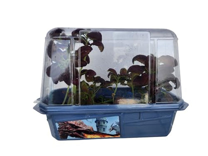 Toys By Nature Miniature Worlds Dragon's Den Flower Windowsill Terrarium Starter Kit, Complete Supplies to Grow Your Own Indoor Mythical Lair with Dragon Figurine and Lava Rock (Dragon's Den) - style: Dragon's Den