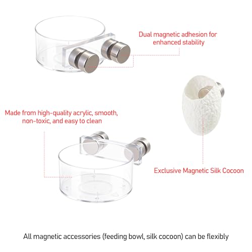Jumping Spider Water Dish Feeding Set Magnetic Bowl Tongs | Magnetic Water Bowl Feeding Dish Tweezer Silk Cocoon Enclosure Accessories Kit for Jumping Spider Reptile Small Pets