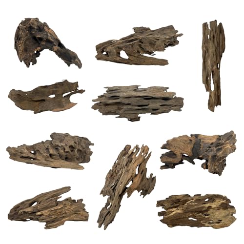 10 PCS Natural Honeycomb Wood 2-4", Porous Aquarium Driftwood | Cholla Wood Shrimp Shelter Breeding Cave, Shrimp Dragon Wood for Fish Tank, Aquascaping, Reptile, Terrarium Decor - color: Shrimp Wood 2-4in(10PCS)
