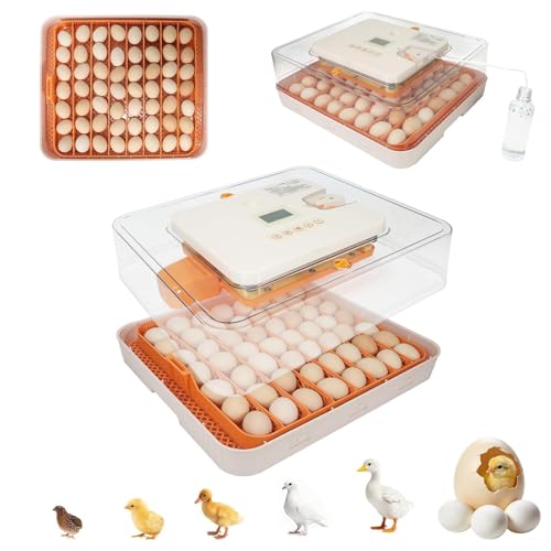 Series IV - 56 Egg Professional Incubator for Breeders, Automatic Sensor-Based Precise Humidity & Temp Control, Adjustable Egg Spacing, Auto Turn & Auto Stop, Preset Incubation Days, Chick Separator - size: 56-Egg Orange