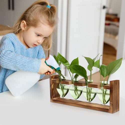 Plant Propagation Stations Heart Plant Terrarium Kit | Gift for Women Plant Lover Glass Vases - color: Green