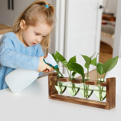 Plant Propagation Stations Heart Plant Terrarium Kit | Gift for Women Plant Lover Glass Vases - color: Green