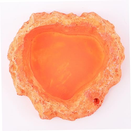 LIOOBO Crawling Food Dish for Lizards Reptile Feeder Odorless Reptile Supplies Water Storage Basin Pet Food Container Lizard Tank Accessories