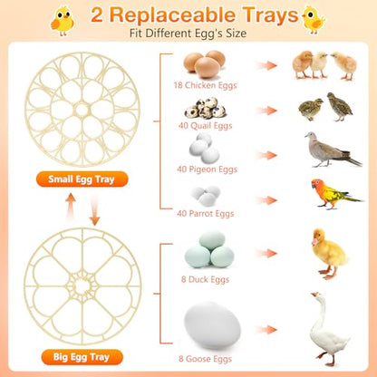 Egg Incubators for Hatching Eggs, 18 Egg Incubator with Automatic Egg Turning and Humidity Control Incubator for Chicken Duck Quail Home Lab - size: O-18H