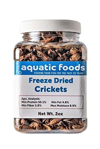 Crickets - Freeze Dried Crickets for Tropical Fish, Reptiles, Turtles, Tortoises Frogs, Hamsters, Birds, Rodents…2oz Small Jar - size: 2 Ounce (Pack of 1)