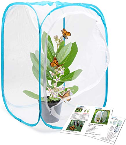 RESTCLOUD Insect and Butterfly Habitat Cage Pop-up 24 Inches Tall | Mesh Enclosure Terrarium,Tight Mesh - color: White With Blue, size: 15.7 x 15.7 x 23.6 inches