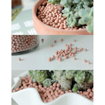 3.0 LB Clay Pebbles, Gardening Ceramsites Growing Media for Succulents Orchids, Aquaponics, Aquaculture Hydroponics. Ceramsite Clay Rocks Decor Cultivation, Leca for Plants (Clay Pebbles) - size: 3.0 LB