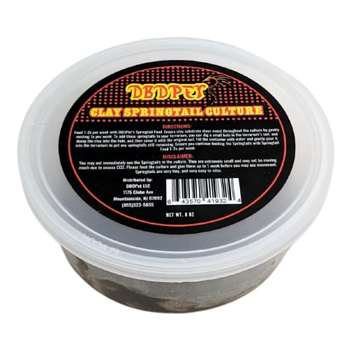 Live Springtail Cultures - Great for Terrariums, Vivariums, and More - Microfauna for Bioactive Reptile & Amphibian Cages (Clay Culture (New Option)) - size: 1 Count (Pack of 1)