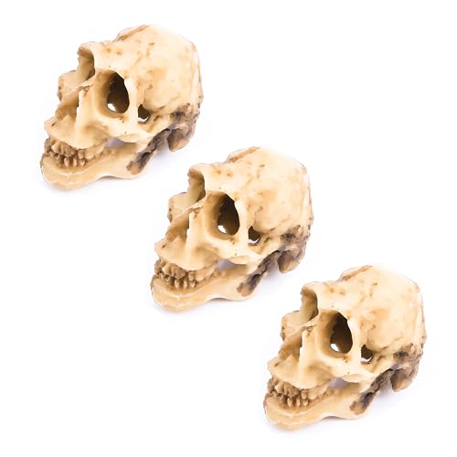 Leadigol 3PCS Aquarium Skull Reptile House Decor Resin Head Skeleton Ornament Aquarium Landscaping Hideout Cave Shelter for Reptile or Fish