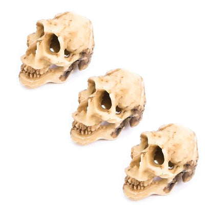 Leadigol 3PCS Aquarium Skull Reptile House Decor Resin Head Skeleton Ornament Aquarium Landscaping Hideout Cave Shelter for Reptile or Fish