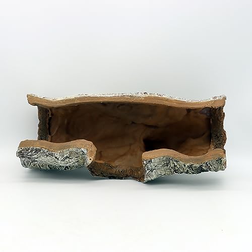 JIHAQUA Aquarium Resin Bark Terrarium Decor, Lizard, Snake or Reptile Hide | Lizard, Spider and Aquarium Fish Hide Cave (Medium Bark A)
