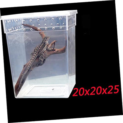 BESPORTBLE Reptile Feeding Container Transparent Breeding Box for Spider Lizard and Tree Pets Ventilated Design Lightweight Easy Assembly Secure Buckles for Safe Transport and Quarantine