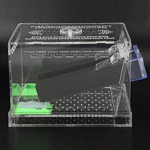 Cricket Keeper Acrylic Cricket Pen with Hiding Tubes Transparent Design Convenient for Cricket(L)