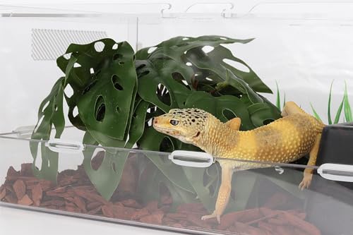 Swiss Cheese Reptile Terrarium Plants for Ball Python Snake Gecko | Reptile Artificial Plants, Fits Bearded Dragon Crested Gecko Lizard Frog Tortoise Tank Enrichment - color: B-fake Swiss Cheese Plants