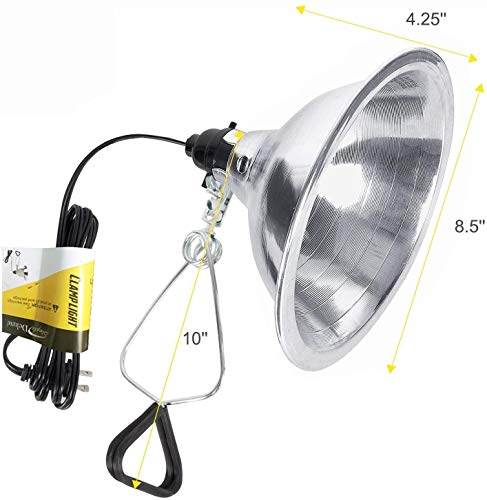 Simple Deluxe 150W Reptile Ceramic Heat Bulb with 8.5 Inch Clamp Lamp and Digital Thermostat Controller Combo Set for Incubating Chicken & Amphibian Pet, 2 Pack