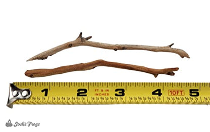 Josh's Frogs Manzanita Wood (Twig) - size: Twig